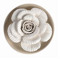 цветок декоративный рассвет в Нижневартовске