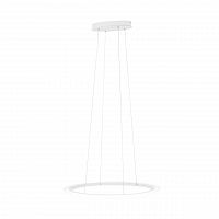 подвесной светодиодный светильник eglo penaforte 39306 в Нижневартовске