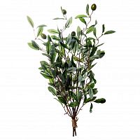 декоративное растение олива 43 см в Нижневартовске