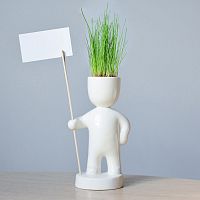 набор для выращивания eco знаменосец в Нижневартовске