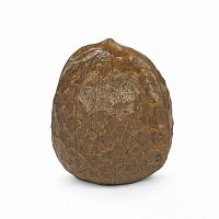 статуэтка nutshell в Нижневартовске