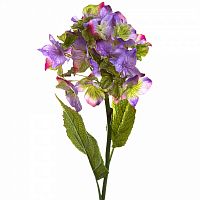 декоративное растение гортензия фиолетовая 87 см в Нижневартовске