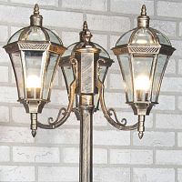 садово-парковый светильник elektrostandard capella 4690389012266 в Нижневартовске