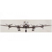 картина маслом самолет-2 в Нижневартовске