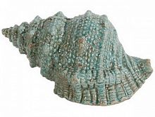 предмет декора статуэтка ракушка seashell в Нижневартовске