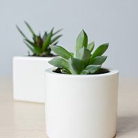 подвесное кашпо цилиндр в Нижневартовске