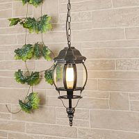 уличный подвесной светильник elektrostandard gl 1001h 4690389076022 в Нижневартовске