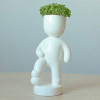 набор для выращивания eco футболист в Нижневартовске