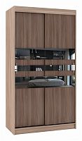 шкаф-купе для одежды баронс риф-2 зеркало вариант 6 (1 секция) в Нижневартовске