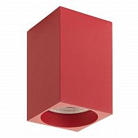 потолочный светильник denkirs dk2009-re в Нижневартовске