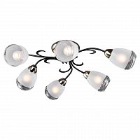 потолочная люстра lussole lgo grlsp-9952 в Нижневартовске