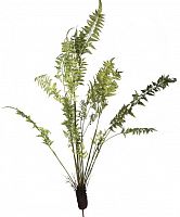 декор fern plant в Нижневартовске