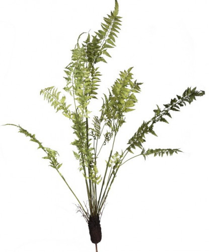 декор fern plant в Нижневартовске
