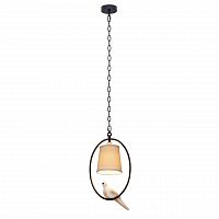 подвесной светильник loft it loft1029a-1 в Нижневартовске