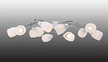 потолочная люстра favourite blanca 1042-12u в Нижневартовске