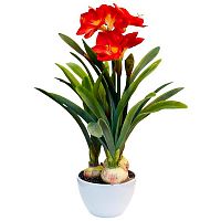 амариллис красный в горшке 76 см в Нижневартовске