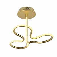 потолочный светодиодный светильник arti lampadari angelo l 1.2.35.03 g в Нижневартовске