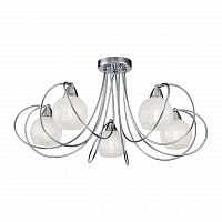 потолочная люстра freya dana fr5023cl-05ch в Нижневартовске