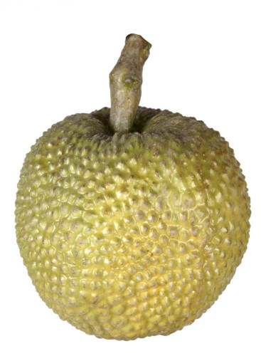 декор durian в Нижневартовске