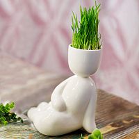 набор для выращивания eco русалка в Нижневартовске