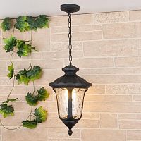 уличный подвесной светильник elektrostandard carina h glyf-1452h черный 4690389063121 в Нижневартовске