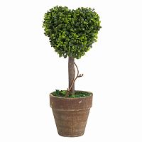 декоративный цветок в горшке amour маленький в Нижневартовске