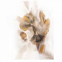 холст песня поющего цветка багет золото 100*100см в Нижневартовске