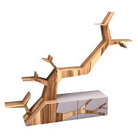 тумба лория с большой веткой орех в Нижневартовске