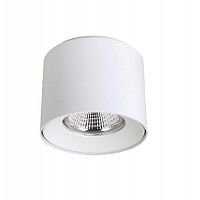 потолочный светодиодный светильник crystal lux clt 522c117 wh в Нижневартовске