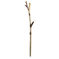 декоративное растение ствол березы 140 см в Нижневартовске