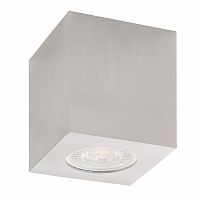 потолочный светильник denkirs dk3010-al в Нижневартовске