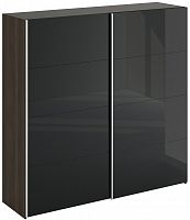 шкаф-купе slide 1700 черный в Нижневартовске