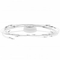 потолочный светильник lightstar ovale 784246 в Нижневартовске