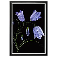 арт-постер кампанула в Нижневартовске