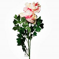 пион розовый 62 см (12) в Нижневартовске