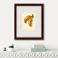 картина: watercolor collection, drawing №78, 1906 в Нижневартовске