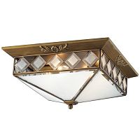 потолочный светильник odeon light morne 2544/4 в Нижневартовске