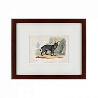картина: a caracal or lynx, 1830 в Нижневартовске