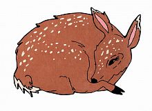 ковер шерстяной олененок the deer в Нижневартовске