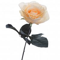 роза кремовая 48 см (36) в Нижневартовске