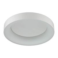 потолочный светодиодный светильник odeon light sole 4062/50cl в Нижневартовске