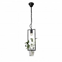 подвесной светильник favourite situla 1976-1p в Нижневартовске
