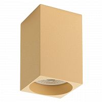 потолочный светильник denkirs dk2009-co в Нижневартовске