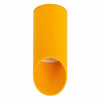 потолочный светильник denkirs dk2011-ye в Нижневартовске