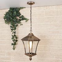 уличный подвесной светильник elektrostandard virgo h черное золото 4690389064906 в Нижневартовске