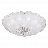 потолочный светильник lightstar lobo 804070 в Нижневартовске