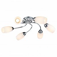 потолочная люстра lussole lgo lsp-0133 в Нижневартовске