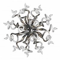 бра lightstar medusa 890659 в Нижневартовске